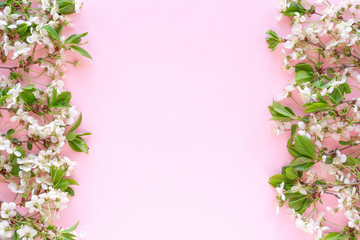 Fototapeta na wymiar Frame border of blooming cherry branches on pastel pink background. Happy Mother's Day, Birthday or other holiday greeting card. Floral botanical spring background. Flat lay, top view, copy space.