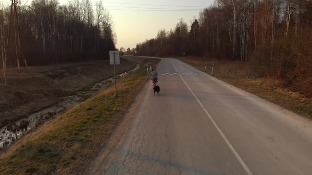Aerial landscape view: Young girl runs with her dog