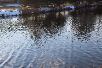 reflection in water