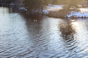 water flowing in the park