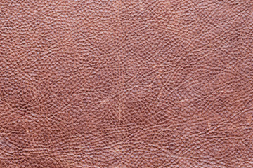 Pebbled leather texture