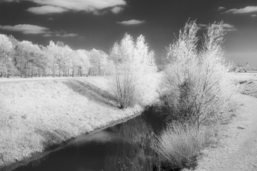 Psdeudoinfrarot am Bach