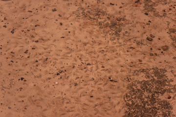Wallpaper. Sea sand. The texture of yellow beach sand.