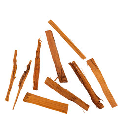 Cat's claw with anti-inflammatory properties - Uncaria tomentosa