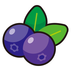 ブルーベリーのアイコン -vector icon blueberry