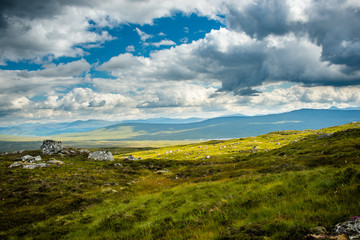 Rolling green hills in the Scottish Highlands