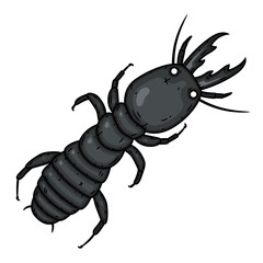 Vector termite. Ant on a white background. Vector illustration.