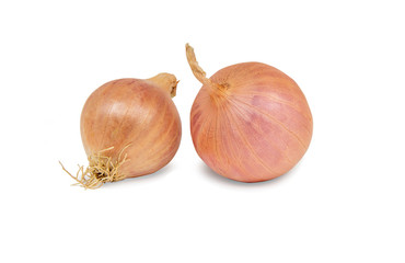 Two Garlic isolated on White Background