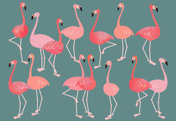 Fototapeta premium Flock of flamingos