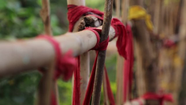 Handcrafted bamboo wood fence with colored rope to hold it in a village / house. Focus racking of fence wood showcasing how long the fence wood.