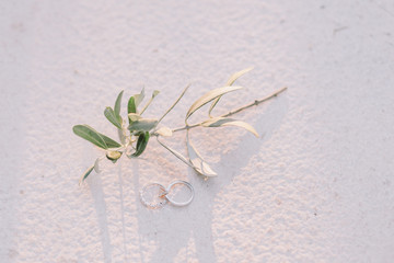 Luxury wedding ring and engagement in fine art style with olive twig