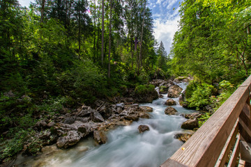 Zauberwald in Ramsau 