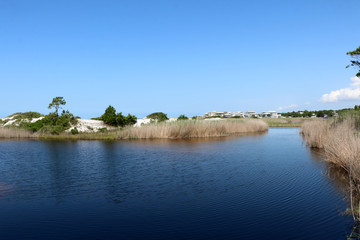 santa rosa florida state park pond, marsh grasses, trees, scenic landscape with blue sky background