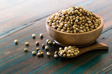 Organic Dried coriander seeds on colored rustic background.