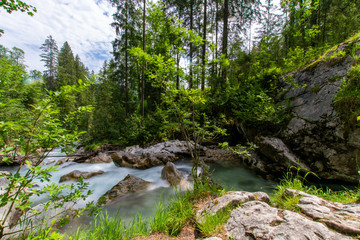 Zauberwald in Ramsau 