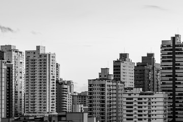 Obraz premium black and white city