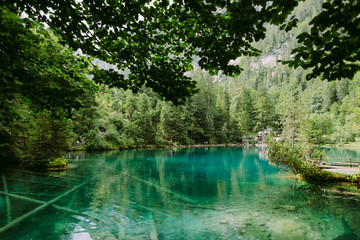 blue lake in switzerland. Mountain lake view and forest background