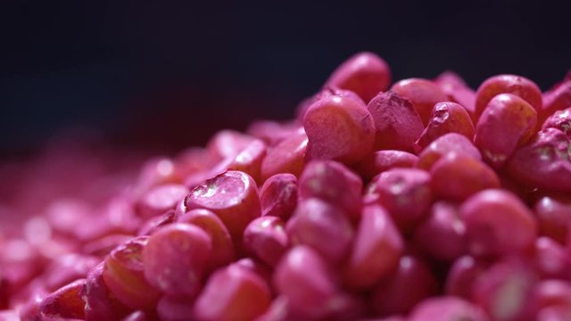 Close Up Shot Of Chemically Treated Corn Seed From An Agro Factory In Thailand.