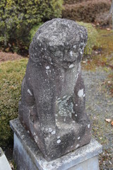 風雨で摩耗している狛犬