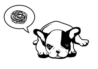 A pretty upset frenchie.  A little french bulldog is in an angry mood, lie down with moody thinking balloon.