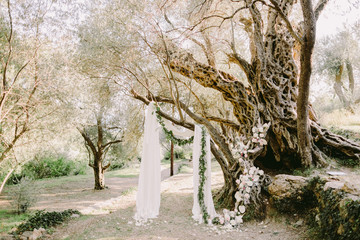 elegant wedding arch in olive trees park
