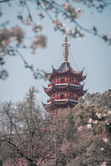 Obraz premium Cherry blossom and ancient Buddhism Si