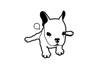 Adorable french bulldog puppy doing yoga fart.