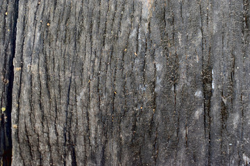 Obraz premium Old dark wooden nature background