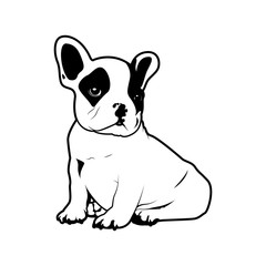Cute little Frenchie is sitting on the ground. French bulldog logo symbol in black & white style.