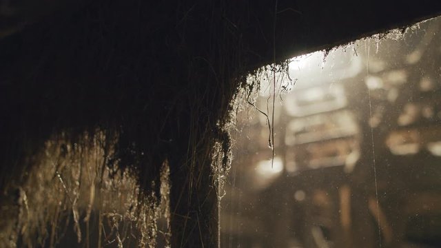 Sun ray shining through an old barn