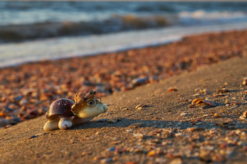Image of a turtle made from shells. Handmade.