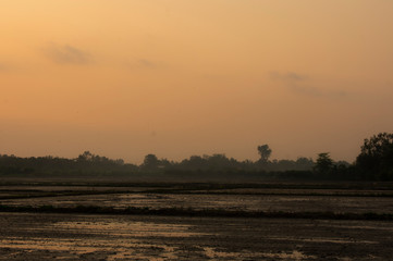 sunrise over the field