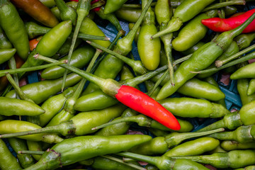 chilli