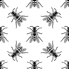 Seamless pattern of black wasp on yellow background.