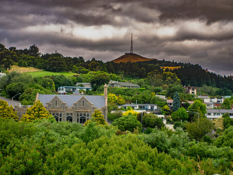 Among The Tower.

Location; Sigh Of The Takahe, Christchurch, New Zealand Camera & Lens; Olympus Pen E-PM1 With 7 Artisans 35mm F/2.