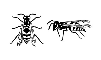 Insect wasp, black wasp silhouette. A stinging insect, an insect pest. Flat design. Vector