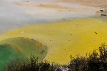 Wai o Tapu hot springs in New Zealand.