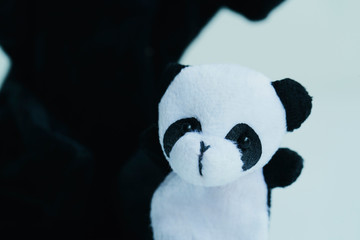 動物 パペット ぬいぐるみ パンダ