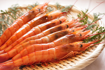 アルゼンチンエビ1