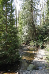 Long river in the forest rocks