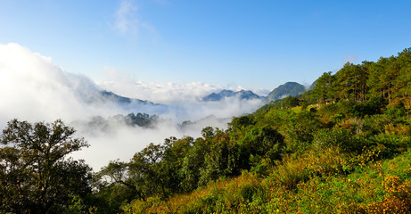 Landscape at National Park in North of Thailand