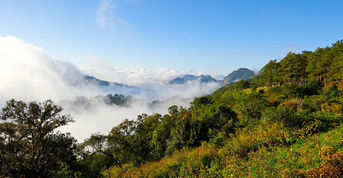 Landscape at National Park in North of Thailand © Vijak