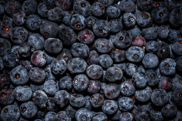 Wild Blueberry Close Up Food Background. Organic Fresh Bio Food