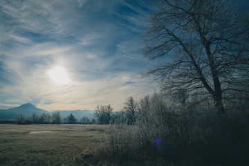 Fototapeta na wymiar Panorama of cold winter environment of Planinsko polje field in Slovenia, Europe. Picturesque cold winter panorama without snow of fields and meadows lit by winter sun.