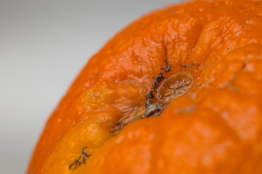 Closeup Or Macro Of A Natural Orange Skin With Mole. Juicy Orange Up Close.