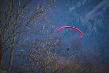 A paraglider with a red parachute is descending down to Kanin, Slovenia, with a picturesque mountain backdrop in the background. Flying in the mountains with a parachute, looking through tree branches