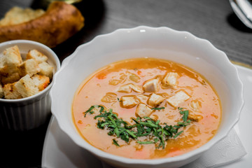 soup with vegetables and broth