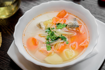 soup with vegetables and broth