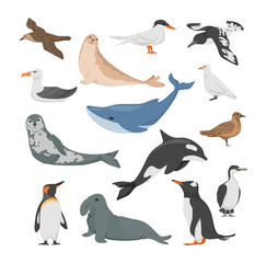 Antarctica flora. Animals, birds and sea life. Seal, petrel, penguins, albatross, blue whale, sea leopard, cape Dove, white plover, antarctic tern blue-eyed cormorant vector illustration