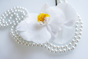 pearl and white orchid on a white glas
